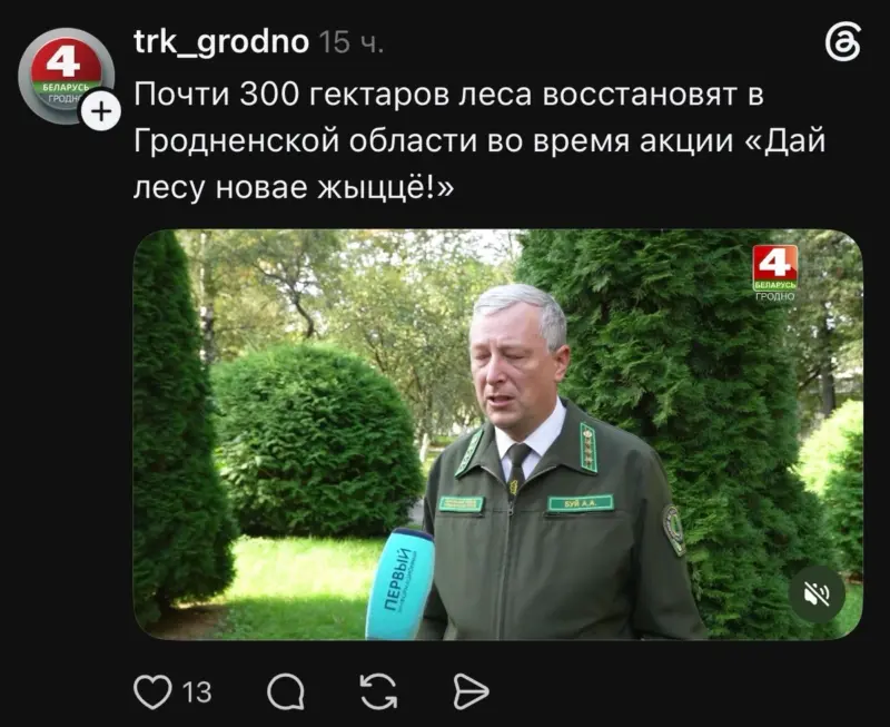 Гектары «ўсохлі». ДзяржТБ заблыталася ў лічбах пасадак: спачатку планавалі 1750 га, а пазней — толькі 300