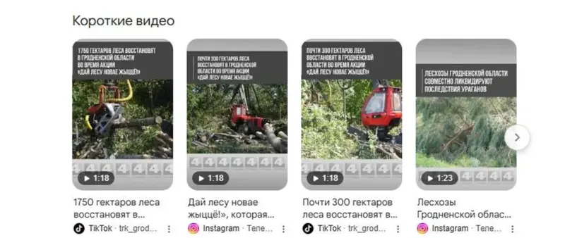 Гектары «ўсохлі». ДзяржТБ заблыталася ў лічбах пасадак: спачатку планавалі 1750 га, а пазней — толькі 300