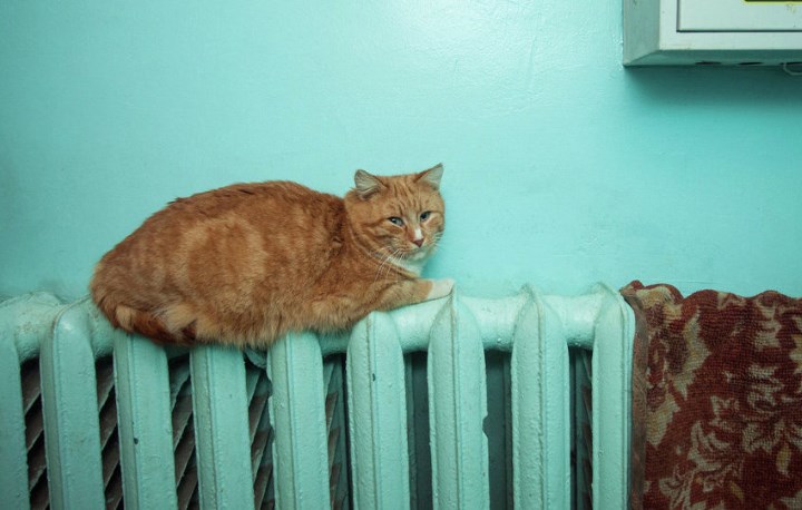 Ацяпленне ў Гродне могуць уключыць да канца гэтага тыдня Фота: sputnik.by