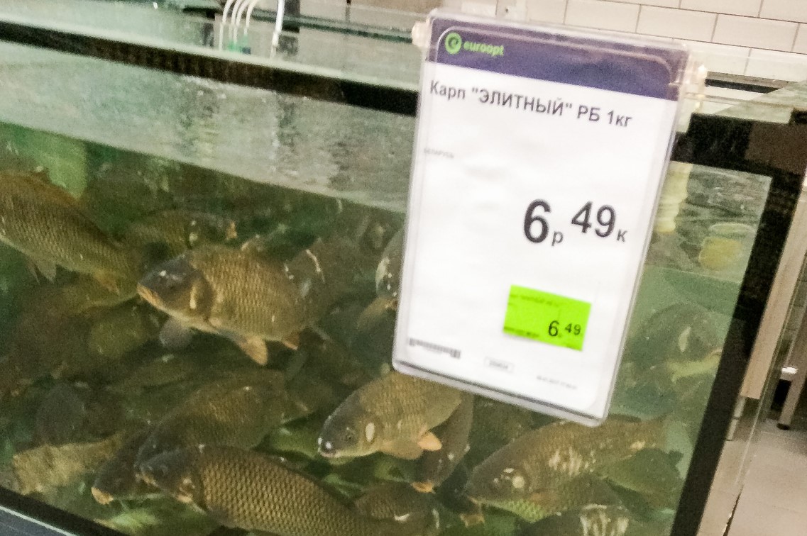 Гродна - цэнтр шопінгу для літоўцаў? Delfi.lt расказвае, што купляюць бязвізавыя турысты ў Беларусі Гродна - цэнтр шопінгу для літоўцаў? Delfi.lt расказвае, што купляюць бязвізавыя турысты ў Беларусі