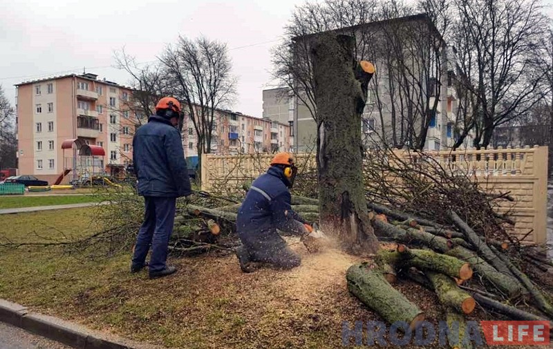 “Мы спрабуем апраўдацца, на нас спрабуюць наехаць”. Кіраўнік гарадской ЖКГ пракаментаваў “смеццевыя войны” ў Гродне