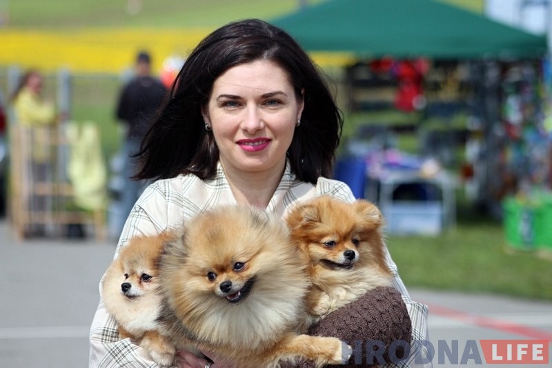 Больш за 300 сабак прыняло ўдзел у буйной выставе ў Гродне Больш за 300 сабак прыняло ўдзел у буйной выставе ў Гродне