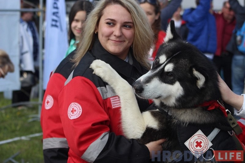 Больш за 300 сабак прыняло ўдзел у буйной выставе ў Гродне Больш за 300 сабак прыняло ўдзел у буйной выставе ў Гродне