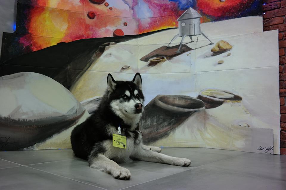 У хакатоне NASA ў Гродне перамог праект кіравання сонечнымі батарэямі на дахах У хакатоне NASA ў Гродне перамог праект кіравання сонечнымі батарэямі на дахах