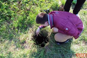 "Сёння сабака, а заўтра дзіця?" На Фолюшы ў адкрытым калодзежы патанула хатняя жывёла "Сёння сабака, а заўтра дзіця?" На Фолюшы ў адкрытым калодзежы патанула хатняя жывёла