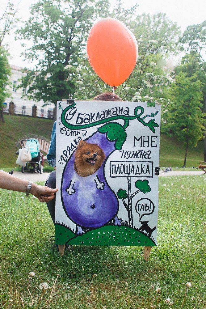 “У баклажана грядка, а мне нужна площадка!” Да гаражан і ўладаў горада звярнуліся сабакі Гродна “У баклажана грядка, а мне нужна площадка!” Да гаражан і ўладаў горада звярнуліся сабакі Гродна