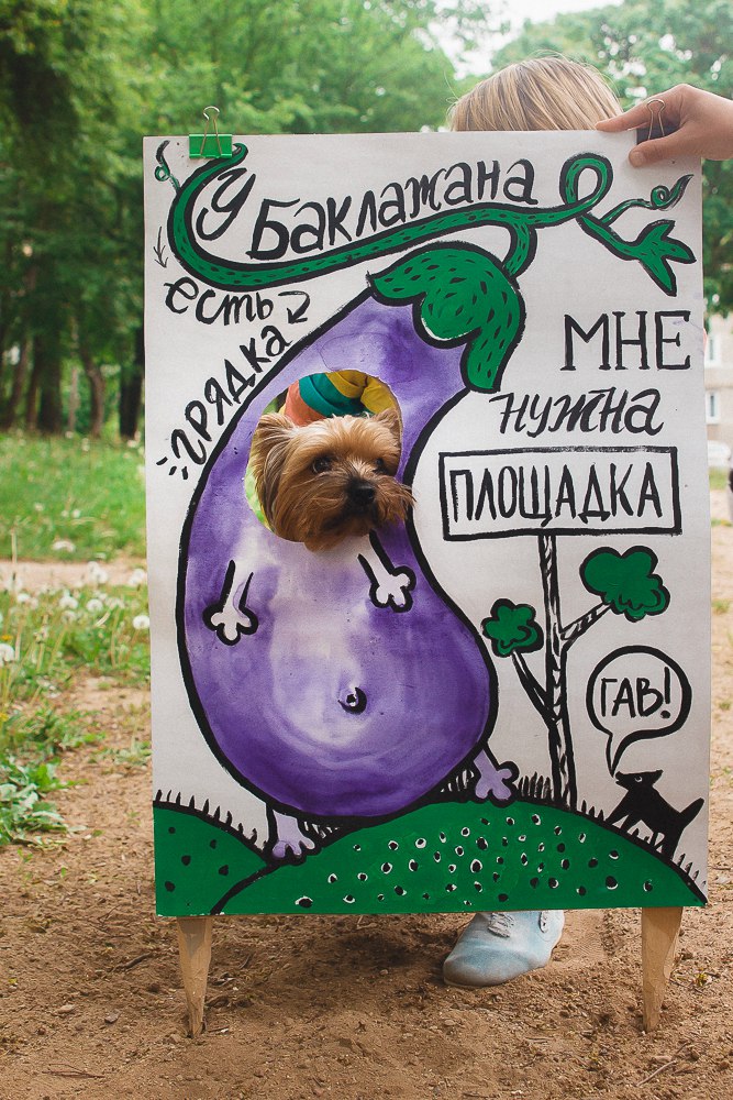 “У баклажана грядка, а мне нужна площадка!” Да гаражан і ўладаў горада звярнуліся сабакі Гродна “У баклажана грядка, а мне нужна площадка!” Да гаражан і ўладаў горада звярнуліся сабакі Гродна