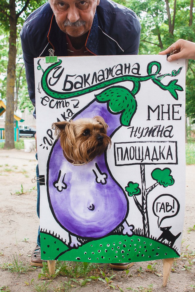 “У баклажана грядка, а мне нужна площадка!” Да гаражан і ўладаў горада звярнуліся сабакі Гродна “У баклажана грядка, а мне нужна площадка!” Да гаражан і ўладаў горада звярнуліся сабакі Гродна