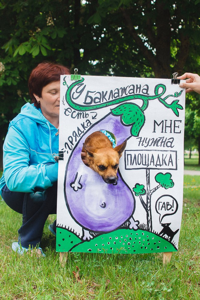 “У баклажана грядка, а мне нужна площадка!” Да гаражан і ўладаў горада звярнуліся сабакі Гродна “У баклажана грядка, а мне нужна площадка!” Да гаражан і ўладаў горада звярнуліся сабакі Гродна