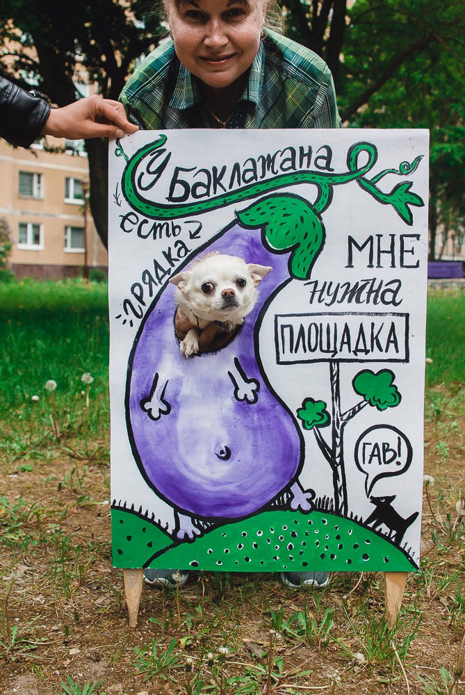 “У баклажана грядка, а мне нужна площадка!” Да гаражан і ўладаў горада звярнуліся сабакі Гродна “У баклажана грядка, а мне нужна площадка!” Да гаражан і ўладаў горада звярнуліся сабакі Гродна