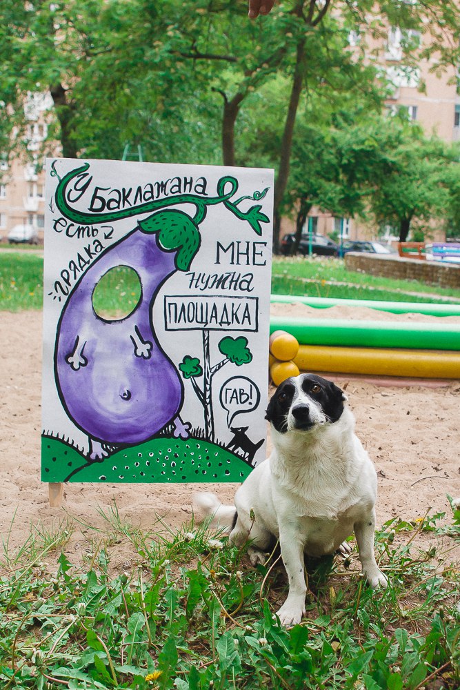 “У баклажана грядка, а мне нужна площадка!” Да гаражан і ўладаў горада звярнуліся сабакі Гродна “У баклажана грядка, а мне нужна площадка!” Да гаражан і ўладаў горада звярнуліся сабакі Гродна