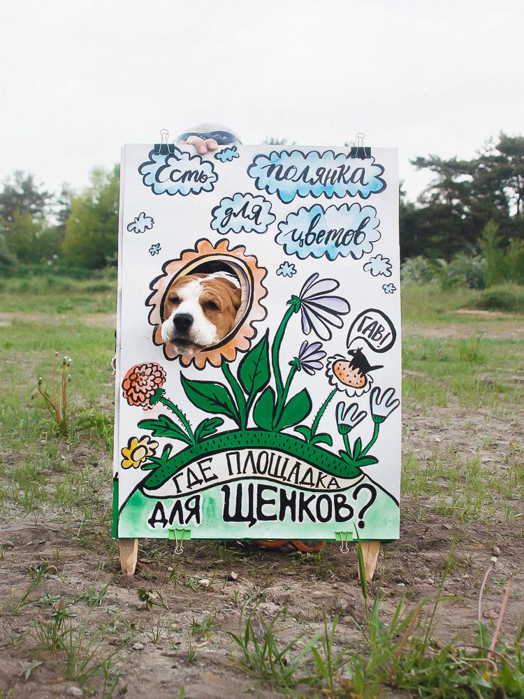 “У баклажана грядка, а мне нужна площадка!” Да гаражан і ўладаў горада звярнуліся сабакі Гродна “У баклажана грядка, а мне нужна площадка!” Да гаражан і ўладаў горада звярнуліся сабакі Гродна