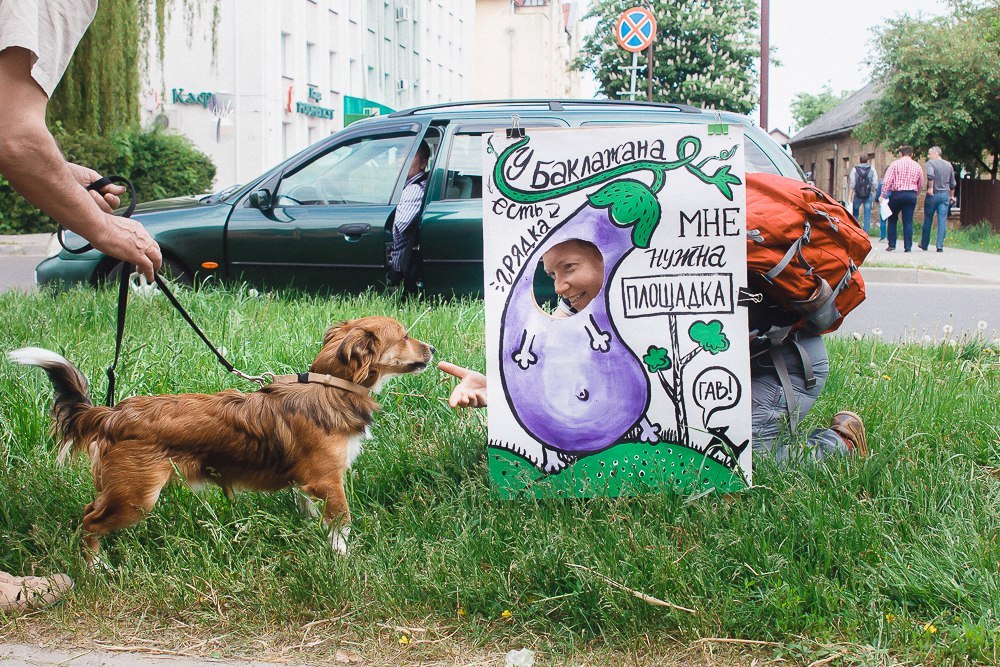 “У баклажана грядка, а мне нужна площадка!” Да гаражан і ўладаў горада звярнуліся сабакі Гродна
