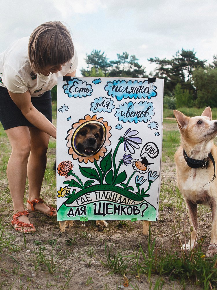 “У баклажана грядка, а мне нужна площадка!” Да гаражан і ўладаў горада звярнуліся сабакі Гродна “У баклажана грядка, а мне нужна площадка!” Да гаражан і ўладаў горада звярнуліся сабакі Гродна