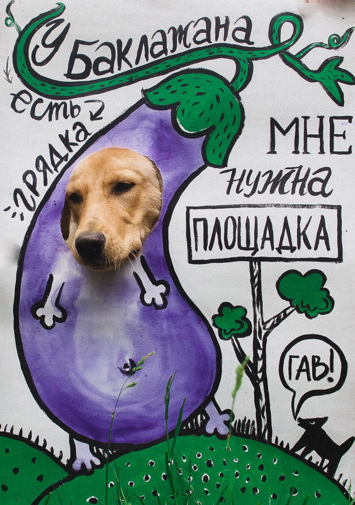 “У баклажана грядка, а мне нужна площадка!” Да гаражан і ўладаў горада звярнуліся сабакі Гродна “У баклажана грядка, а мне нужна площадка!” Да гаражан і ўладаў горада звярнуліся сабакі Гродна