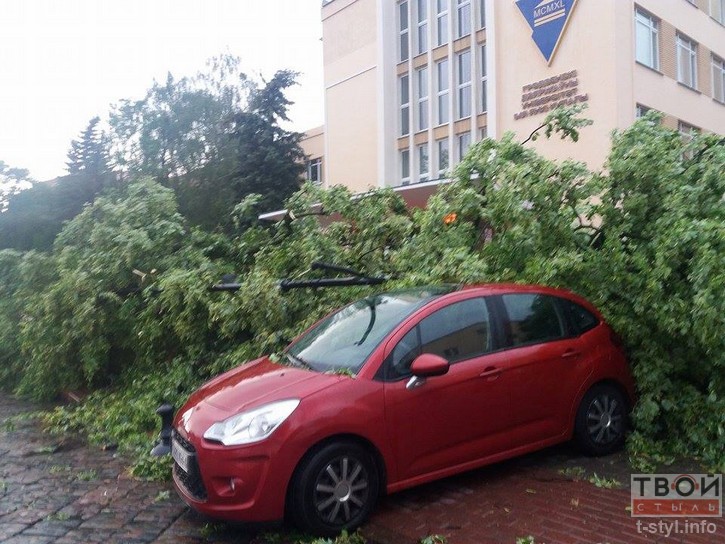 МНС адправіла гродзенцам СМС-папярэджанне аб моцным ветры МНС адправіла гродзенцам СМС-папярэджанне аб моцным ветры