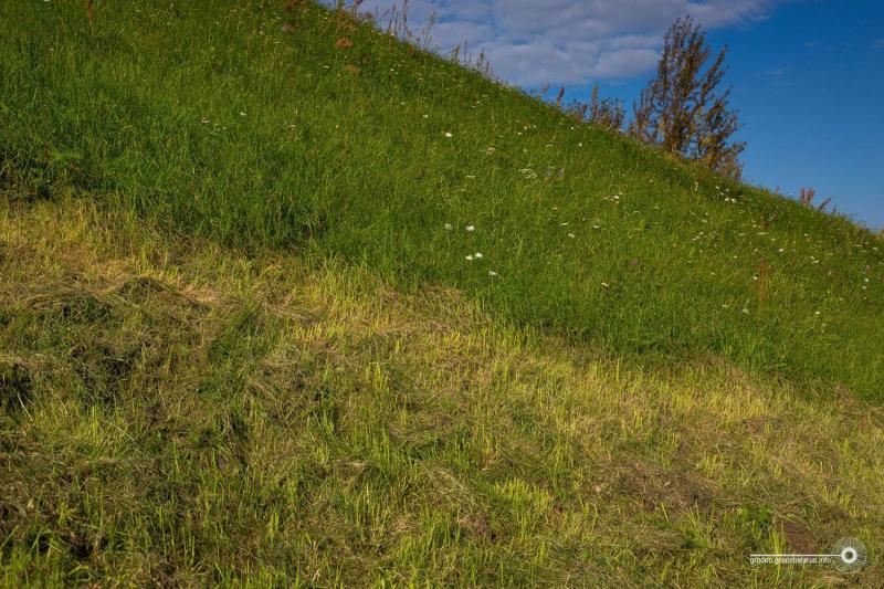 Чаму ў горадзе дрэнна расце трава і навошта яе абавязкова трэба захоўваць