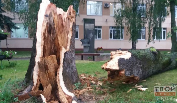 МНС адправіла гродзенцам СМС-папярэджанне аб моцным ветры МНС адправіла гродзенцам СМС-папярэджанне аб моцным ветры