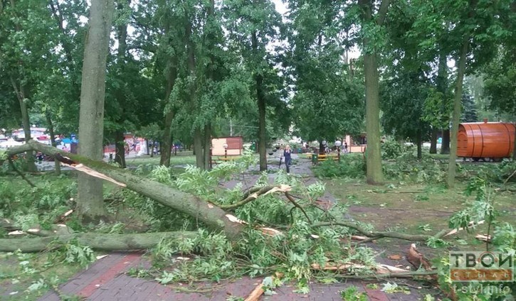 МНС адправіла гродзенцам СМС-папярэджанне аб моцным ветры МНС адправіла гродзенцам СМС-папярэджанне аб моцным ветры