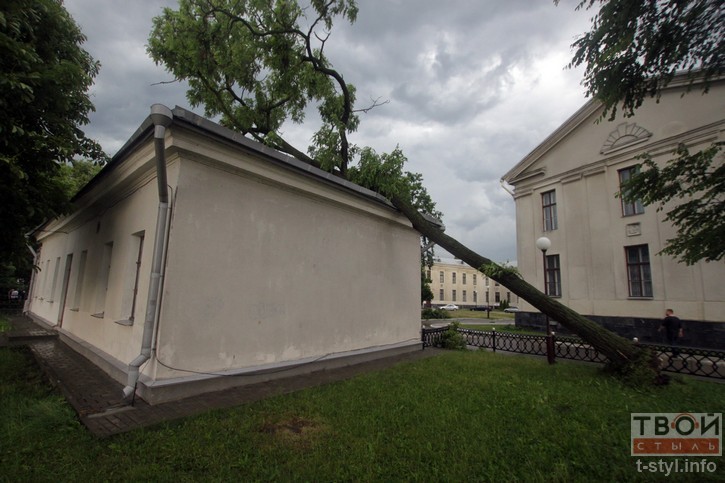 МНС адправіла гродзенцам СМС-папярэджанне аб моцным ветры МНС адправіла гродзенцам СМС-папярэджанне аб моцным ветры