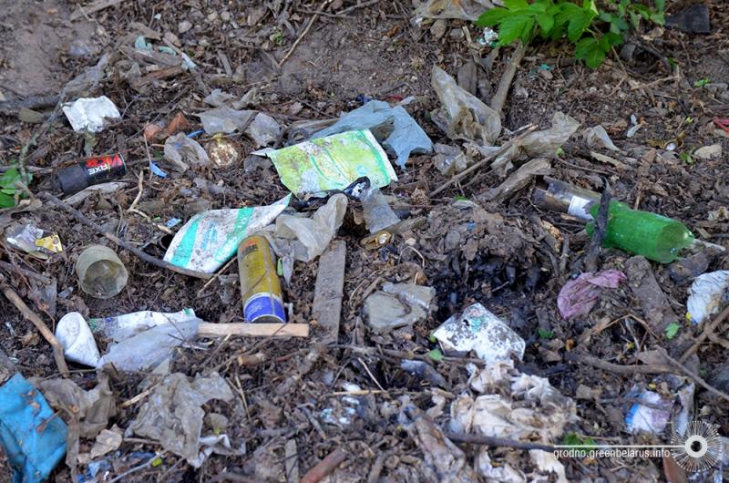 У лесапарк Румлёва ўключылі новы ўчастак лесу, але найпрыгажэйшыя месцы патанаюць у смецці