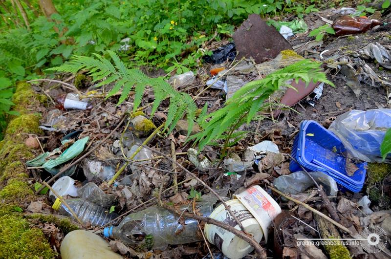 У лесапарк Румлёва ўключылі новы ўчастак лесу, але найпрыгажэйшыя месцы патанаюць у смецці