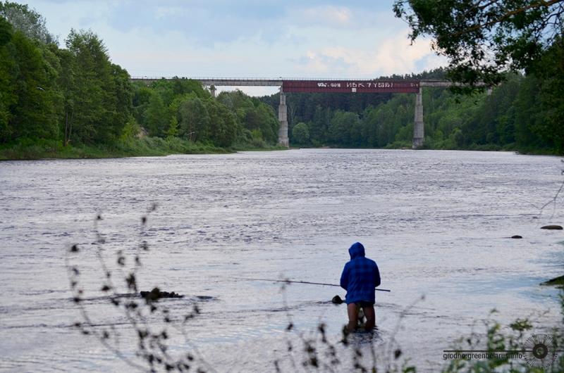 У лесапарк Румлёва ўключылі новы ўчастак лесу, але найпрыгажэйшыя месцы патанаюць у смецці