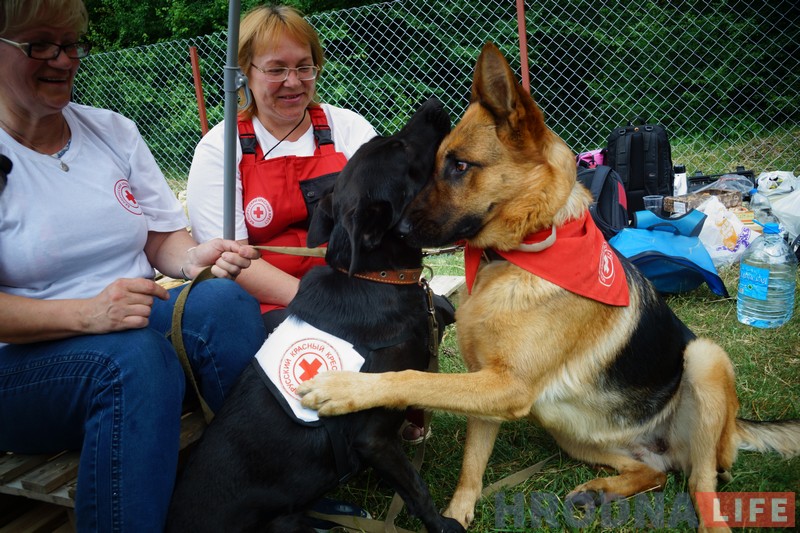 “Карыстайцеся, гэта для вас!” На Вішняўцы адсвяткавалі адкрыццё пляцоўкі для сабак