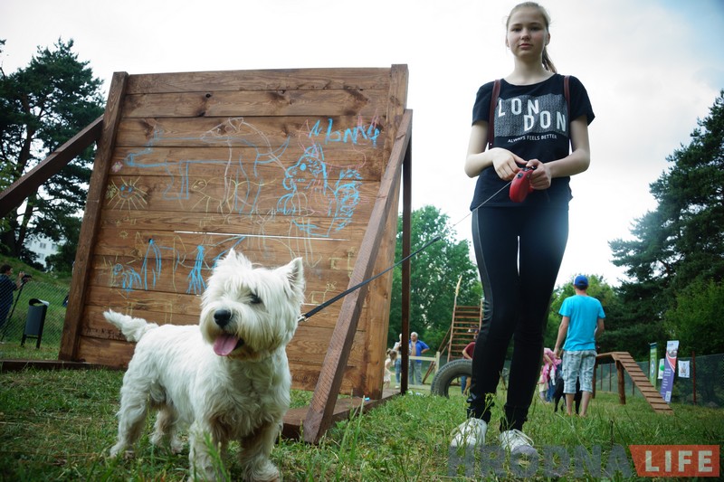 “Карыстайцеся, гэта для вас!” На Вішняўцы адсвяткавалі адкрыццё пляцоўкі для сабак