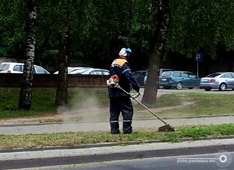 Чаму ў горадзе дрэнна расце трава і навошта яе абавязкова трэба захоўваць