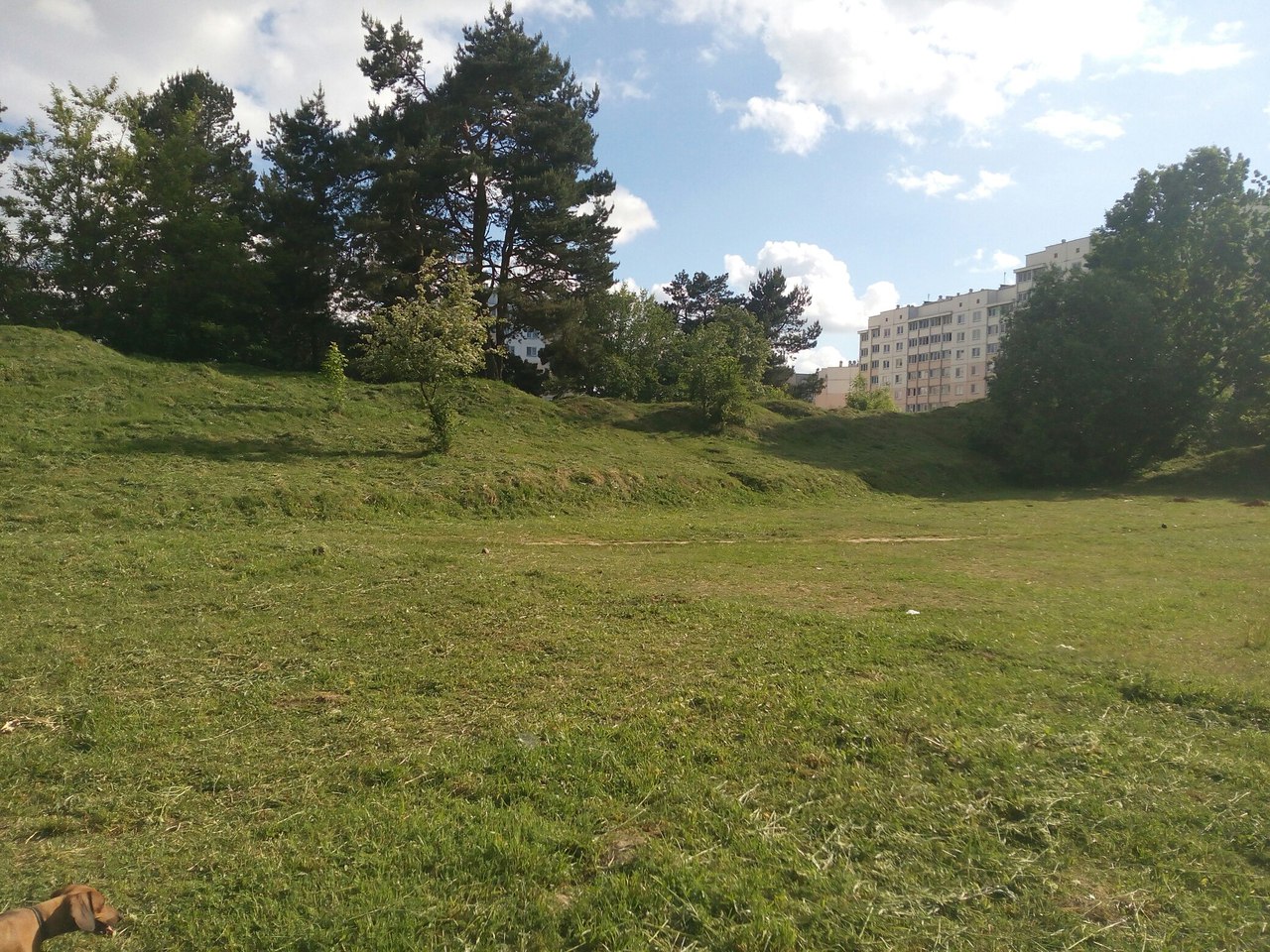 Сабакам выгул, а людзям свята. На Вішняўцы ўрачыста адкрыюць другую ў горадзе пляцоўку для сабак Сабакам выгул, а людзям свята. На Вішняўцы ўрачыста адкрыюць другую ў горадзе пляцоўку для сабак