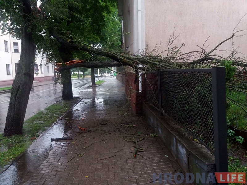 Моцны вецер валіў у Гродне дрэвы: ёсць пашкоджаныя машыны Моцны вецер валіў у Гродне дрэвы: ёсць пашкоджаныя машыны