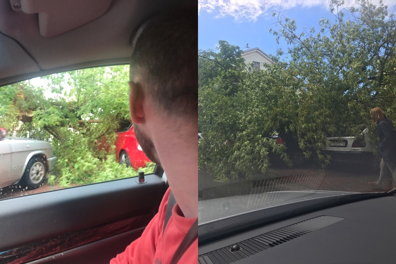 Моцны вецер валіў у Гродне дрэвы: ёсць пашкоджаныя машыны Моцны вецер валіў у Гродне дрэвы: ёсць пашкоджаныя машыны