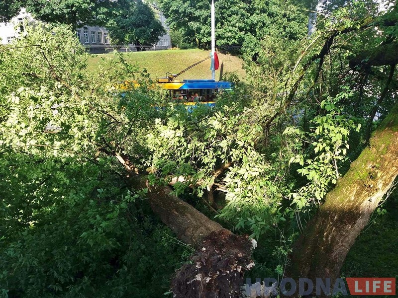 Моцны вецер валіў у Гродне дрэвы: ёсць пашкоджаныя машыны Моцны вецер валіў у Гродне дрэвы: ёсць пашкоджаныя машыны