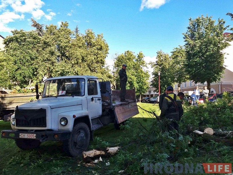 Моцны вецер валіў у Гродне дрэвы: ёсць пашкоджаныя машыны Моцны вецер валіў у Гродне дрэвы: ёсць пашкоджаныя машыны