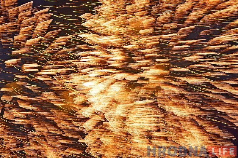 Фота: салют Незалежнасці ў хмарным небе над Гродна Фота: салют Незалежнасці ў хмарным небе над Гродна