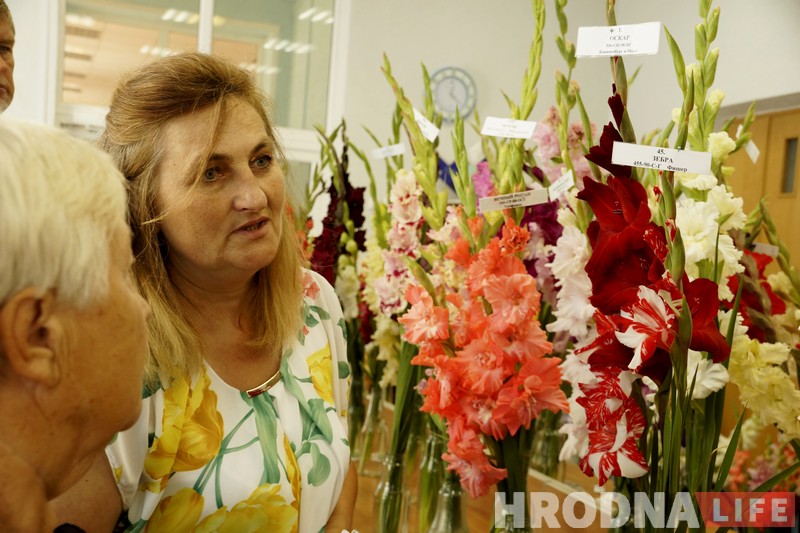 "Аляксандр Лукашэнка пакуль у бутонах". Выстава гладыёлусаў адкрылася ў Гродне