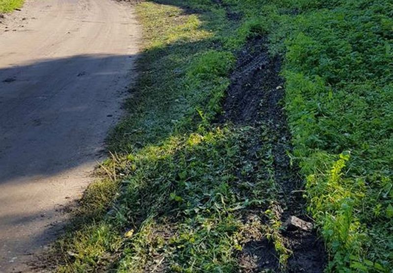 Прайшлі слуханні па рэканструкцыі ў цэнтры Гродна: заўвагі актывістаў адлюструюць у праекце