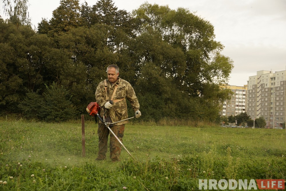 Ці з'явіцца пляцоўка для сабак на Дзевятоўцы? Жыхары раёна гатовы ёй заняцца