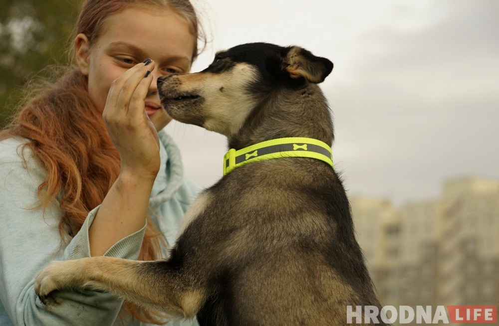 Ці з'явіцца пляцоўка для сабак на Дзевятоўцы? Жыхары раёна гатовы ёй заняцца
