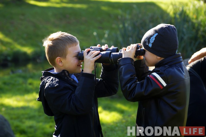 “Праз бінокль цікавей”. ПанЕўрапейскія назіранні за птушкамі прайшлі ў Гродне