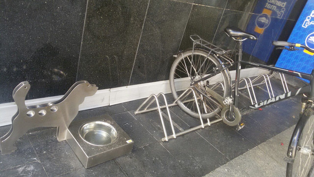 Ці з'явіцца пляцоўка для сабак на Дзевятоўцы? Жыхары раёна гатовы ёй заняцца