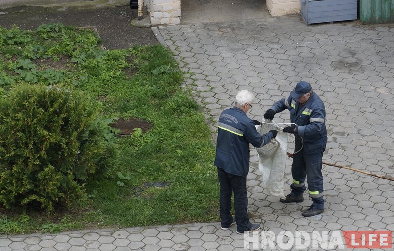 No comments: як працуюць адлоўшчыкі безнаглядных жывёл у Гродне No comments: як працуюць адлоўшчыкі безнаглядных жывёл у Гродне