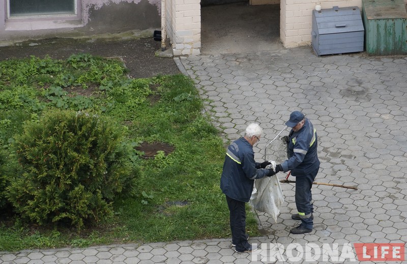 No comments: як працуюць адлоўшчыкі безнаглядных жывёл у Гродне No comments: як працуюць адлоўшчыкі безнаглядных жывёл у Гродне