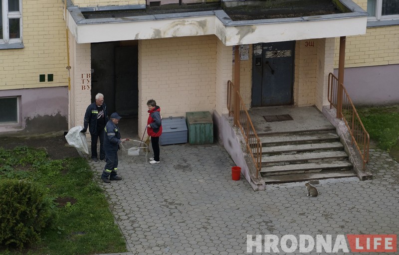 No comments: як працуюць адлоўшчыкі безнаглядных жывёл у Гродне No comments: як працуюць адлоўшчыкі безнаглядных жывёл у Гродне