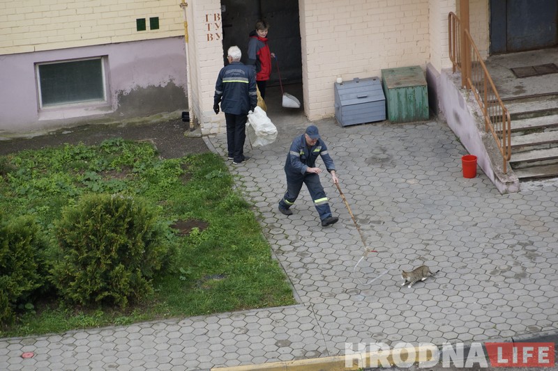 No comments: як працуюць адлоўшчыкі безнаглядных жывёл у Гродне No comments: як працуюць адлоўшчыкі безнаглядных жывёл у Гродне