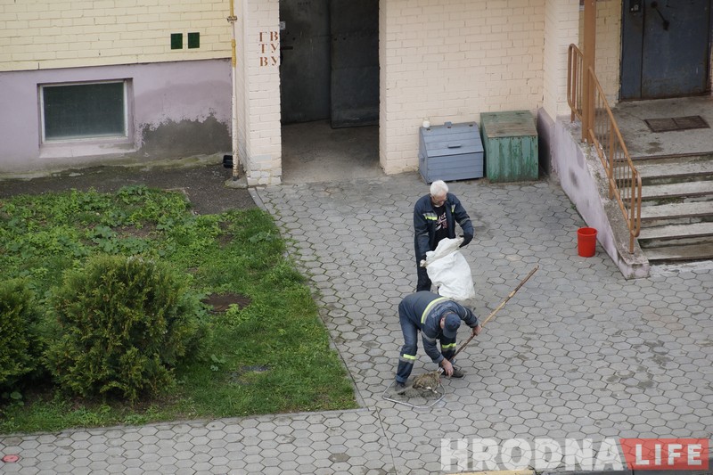 No comments: як працуюць адлоўшчыкі безнаглядных жывёл у Гродне No comments: як працуюць адлоўшчыкі безнаглядных жывёл у Гродне