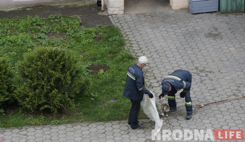 No comments: як працуюць адлоўшчыкі безнаглядных жывёл у Гродне No comments: як працуюць адлоўшчыкі безнаглядных жывёл у Гродне