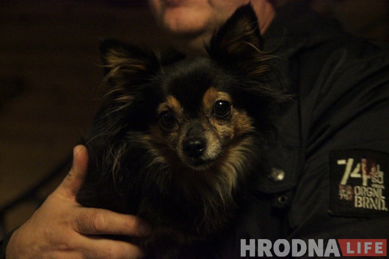 У Зарыцы з’явіцца свая Замкавая вуліца: як у Гродне ствараюць сядзібу з гістарычным смакам