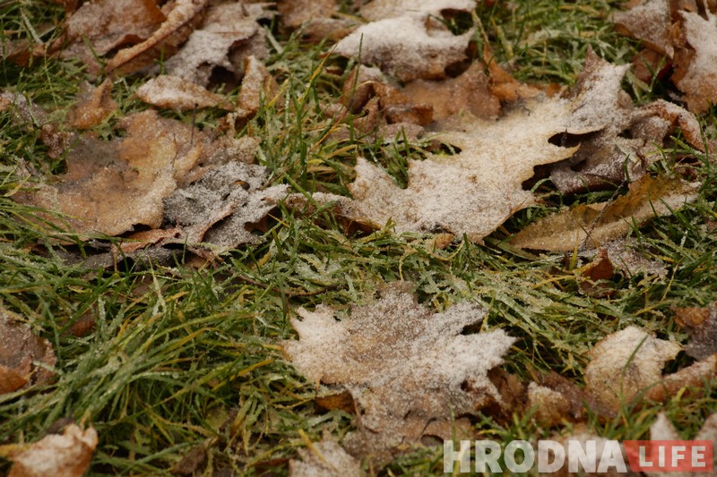 Холадна і мокры снег: апошні дзень восені 2017 у Гродне Холадна і мокры снег: апошні дзень восені 2017 у Гродне